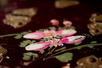 2013-02-09 除夕 301.jpg