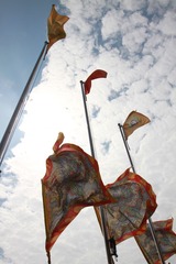 248.JPG
