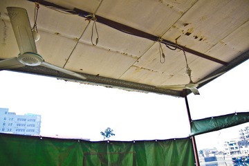 202.jpg