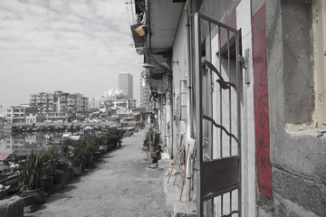 205.jpg