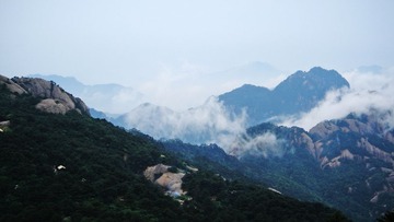 DSC04176A.jpg