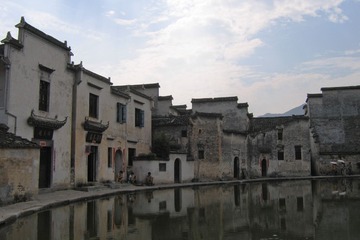 IMG_1270A.jpg