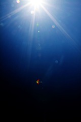 白城 386A.jpg