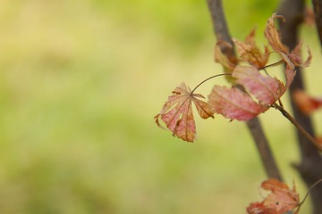 集美大学 107A