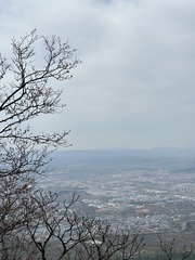 111330DB-C6C3-4757-B0C6-0C9C71A9ED39/L0/001