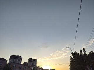 1000026250