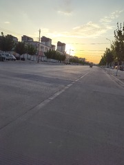 1000026249