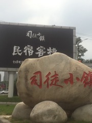 10041