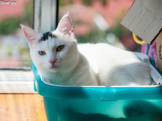 DSC_7001-1.jpg