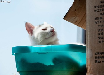 DSC_7005-1.jpg