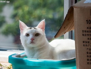 DSC_6999-1.jpg