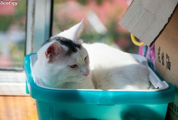 DSC_7000-1.jpg