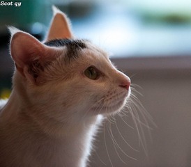 DSC_7041-1.jpg