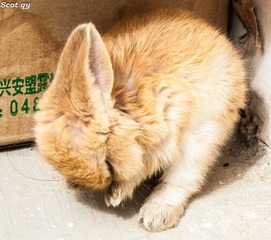 DSC_7133-1.jpg