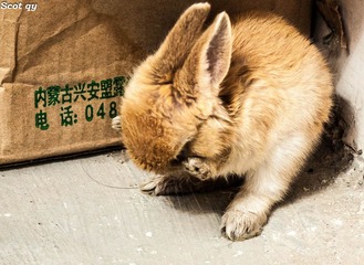 20120913-DSC_7130.jpg