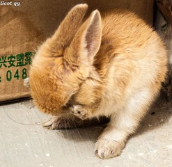 DSC_7130-1.jpg
