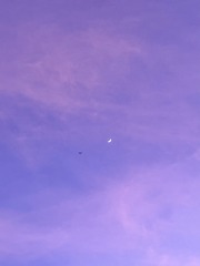 8605B5CB-296F-4F0F-8AD2-829F7C49350A/L0/001
