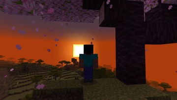 64873