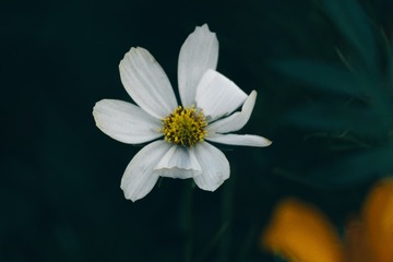 65809