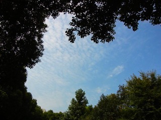 R0013606.JPG