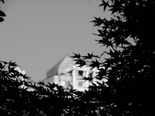 R0013635.JPG