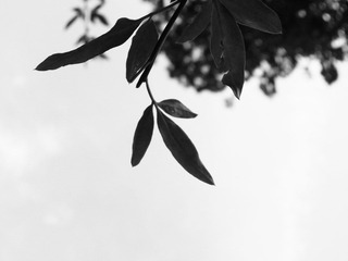 R0013667.JPG