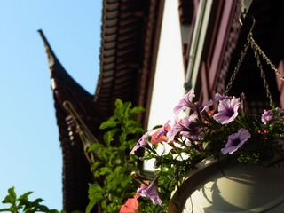 R0015258.JPG