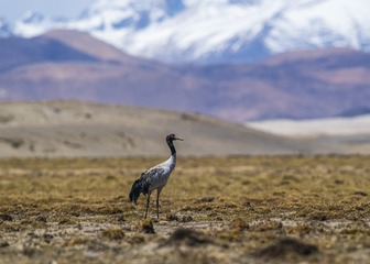 D5E_5677