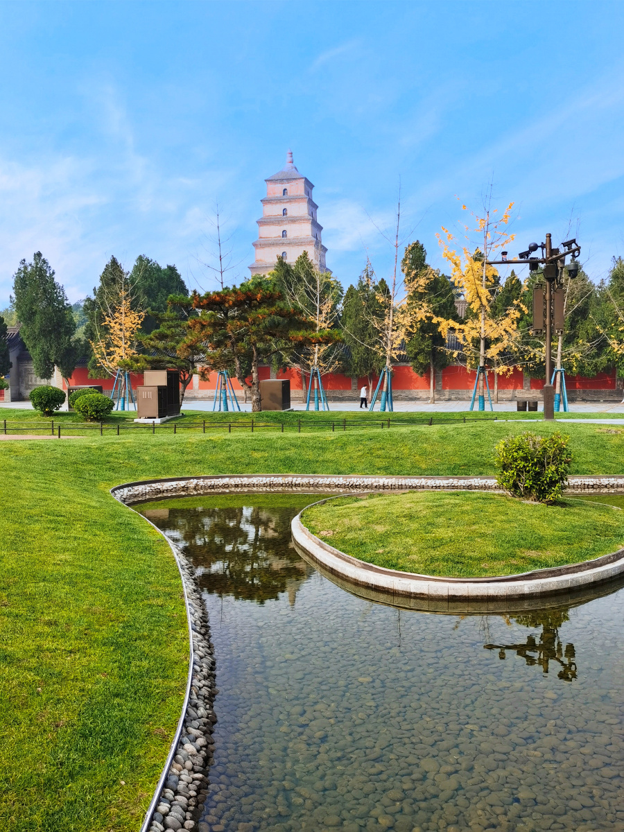 风和日丽西安大雁塔