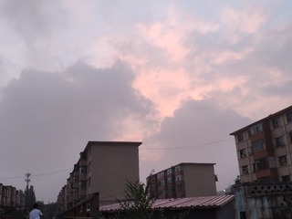 12616