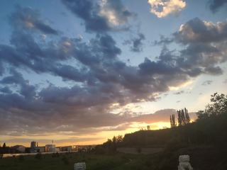 13101