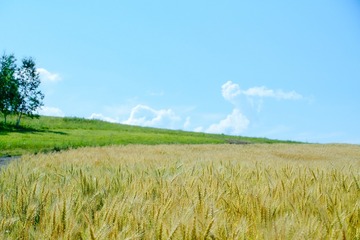 D7F3F512-FC6B-4396-AA7B-89C76EDF4AE8/L0/001