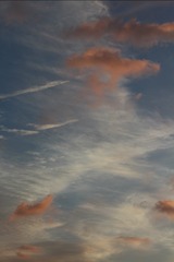 FAE9E293-353B-4956-A9F7-08B177F7C479/L0/001