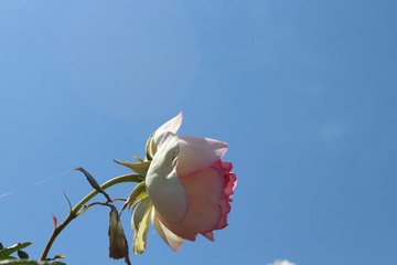 9C4E66D2-9767-4D7A-A85C-6C10D11BED81/L0/001
