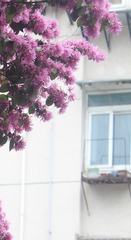 118811D7-E030-408F-A733-CCE640D667D0/L0/001