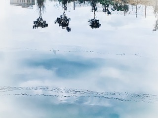 1000022998