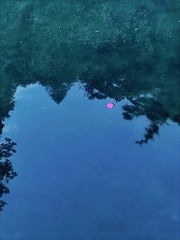 1000033906