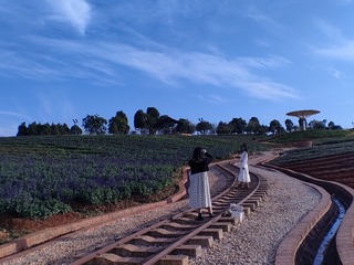 1000033512