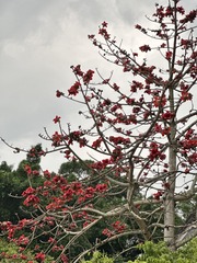 27613D4E-1176-4524-A655-0C81E5BF4A77/L0/001