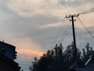 1000022694