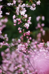 A4F7F8F7-0DAC-4B79-9AC2-BD4EA48E9CE6/L0/001