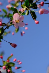 D7ED0D39-2C56-408B-8D4F-BC8EF554255E/L0/001