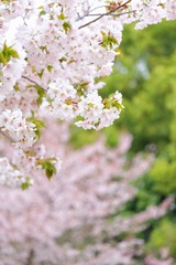 31097472-B2F7-466A-B82C-6007480B8269/L0/001