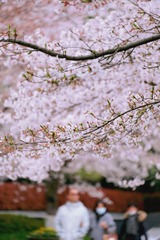 204C7A6B-690E-4BCB-A8C9-656C601FB006/L0/001