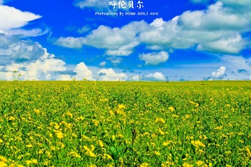 IMG_2981-1副本.jpg