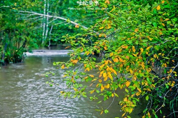 IMG_3187-1副本.jpg