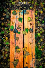 IMG_5097-1副本.jpg