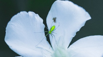 001