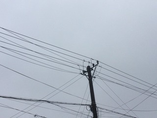 F0AD5669-0304-4E98-B654-CF38035A8F00/L0/001