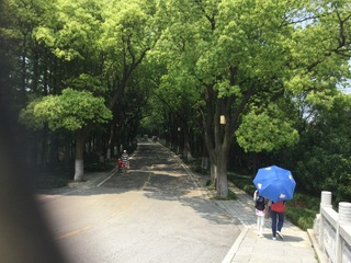 72299D3B-9682-4C20-B1D1-E08CAF5EA234/L0/001